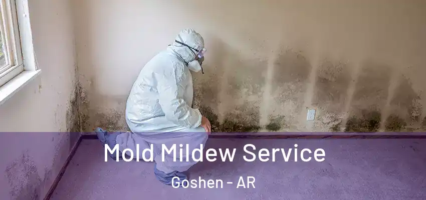  Mold Mildew Service Goshen - AR