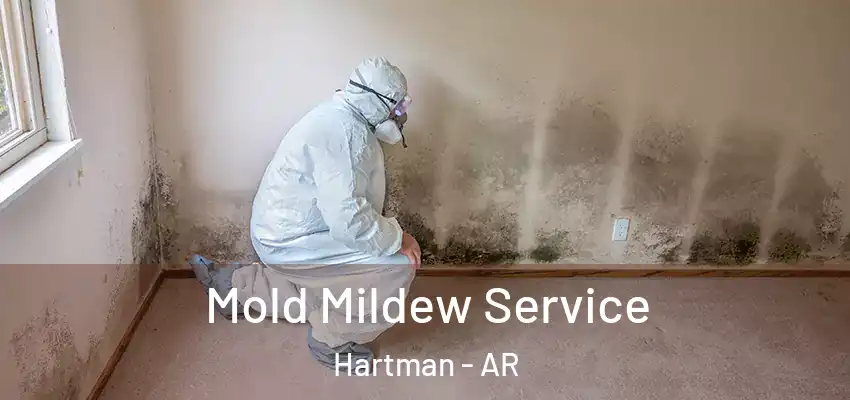  Mold Mildew Service Hartman - AR
