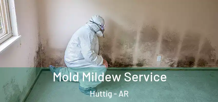  Mold Mildew Service Huttig - AR