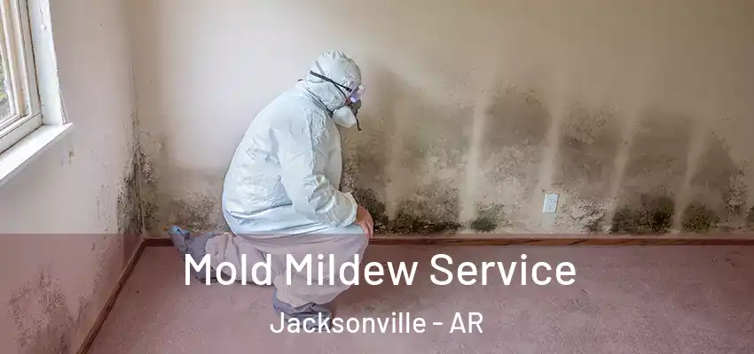  Mold Mildew Service Jacksonville - AR