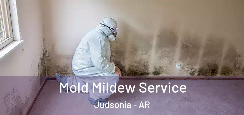  Mold Mildew Service Judsonia - AR