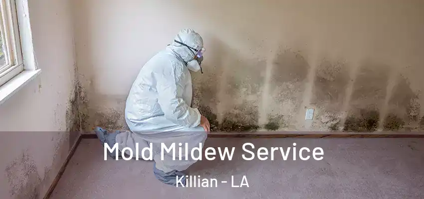  Mold Mildew Service Killian - LA