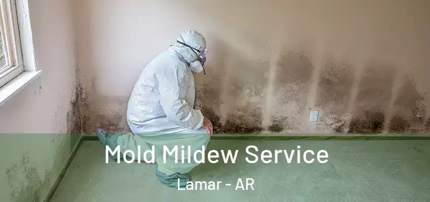  Mold Mildew Service Lamar - AR