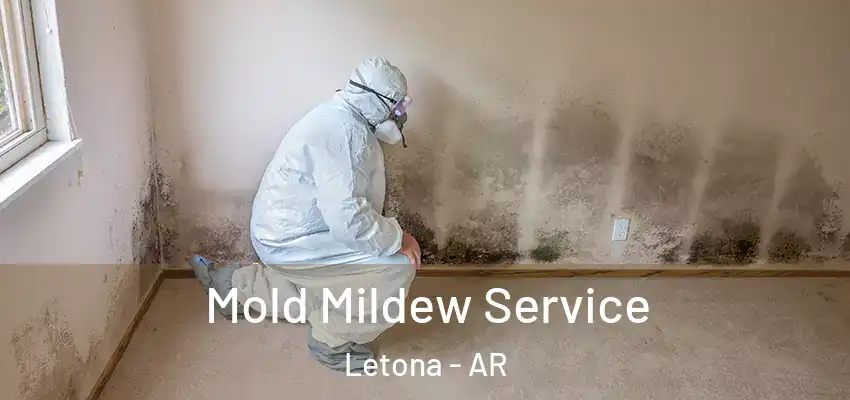 Mold Mildew Service Letona - AR
