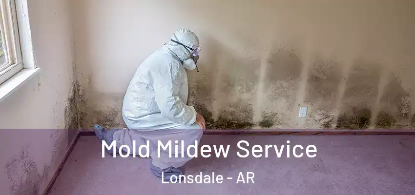  Mold Mildew Service Lonsdale - AR