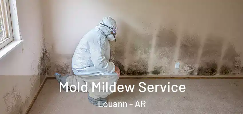  Mold Mildew Service Louann - AR