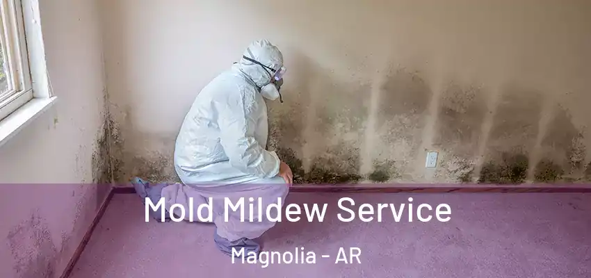  Mold Mildew Service Magnolia - AR