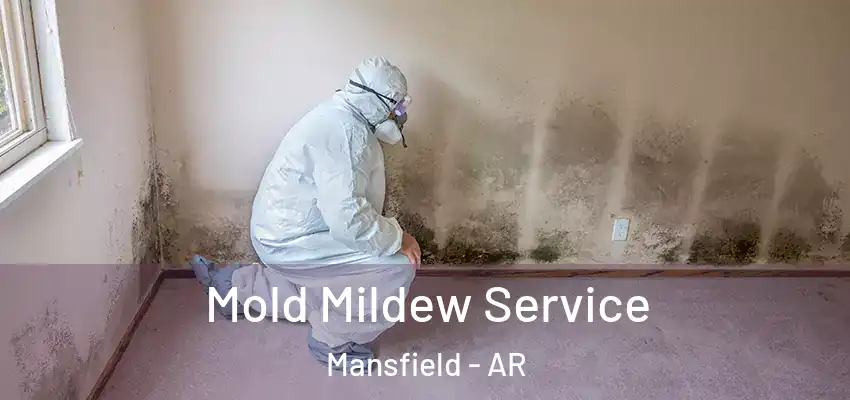  Mold Mildew Service Mansfield - AR