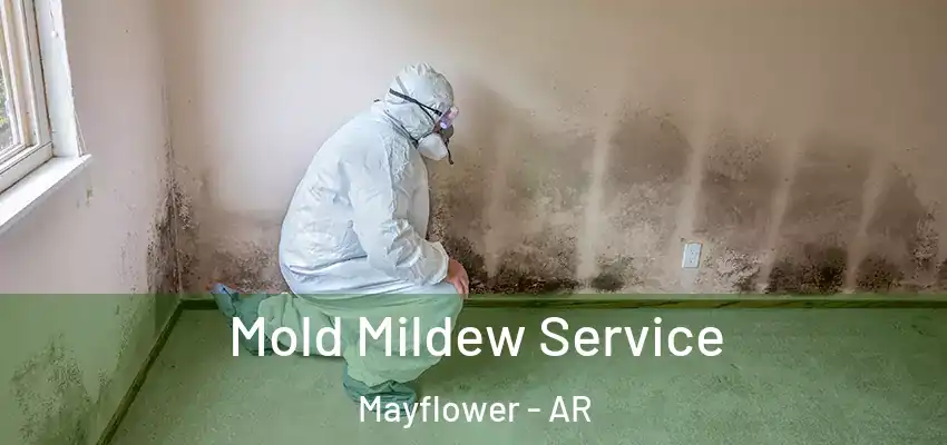 Mold Mildew Service Mayflower - AR