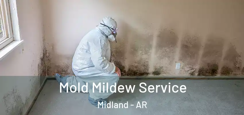 Mold Mildew Service Midland - AR