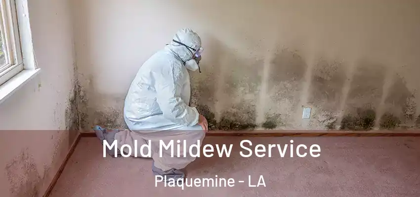  Mold Mildew Service Plaquemine - LA