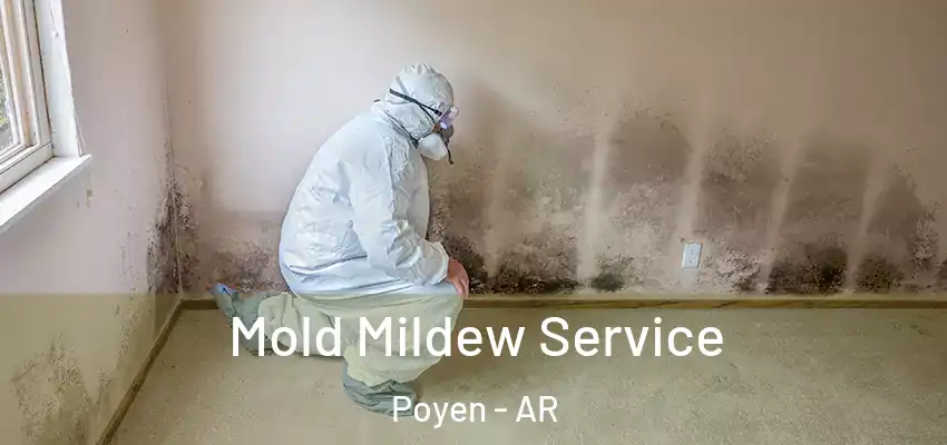  Mold Mildew Service Poyen - AR