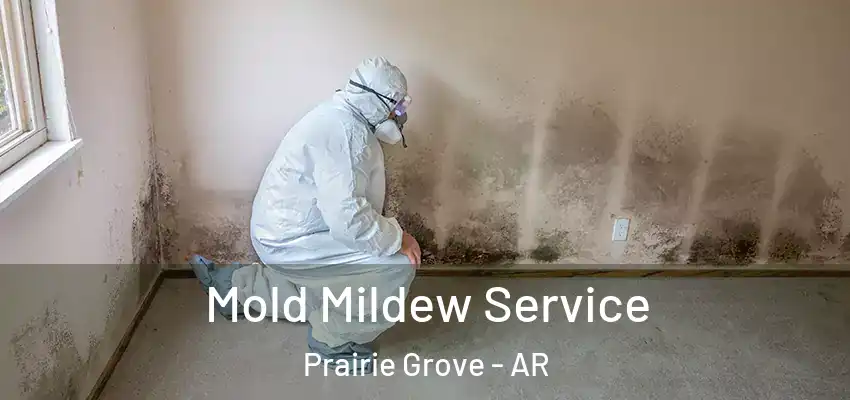  Mold Mildew Service Prairie Grove - AR