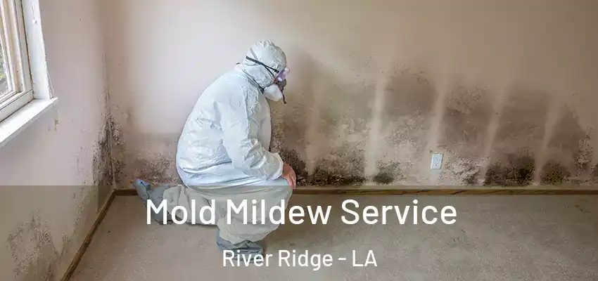  Mold Mildew Service River Ridge - LA