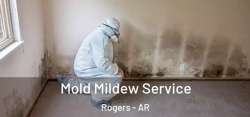  Mold Mildew Service Rogers - AR