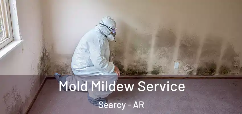  Mold Mildew Service Searcy - AR
