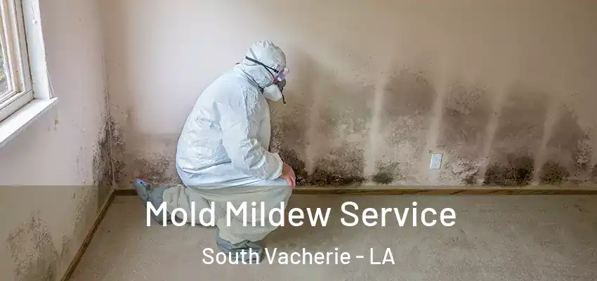  Mold Mildew Service South Vacherie - LA