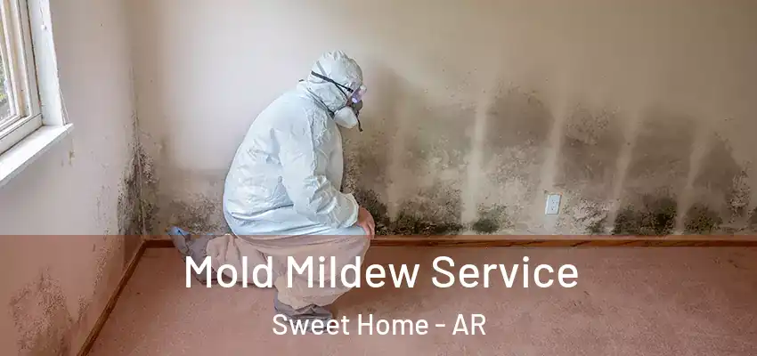  Mold Mildew Service Sweet Home - AR