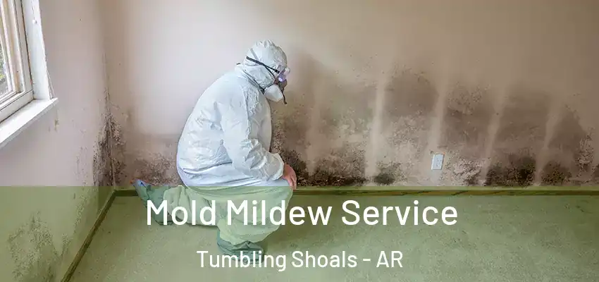  Mold Mildew Service Tumbling Shoals - AR