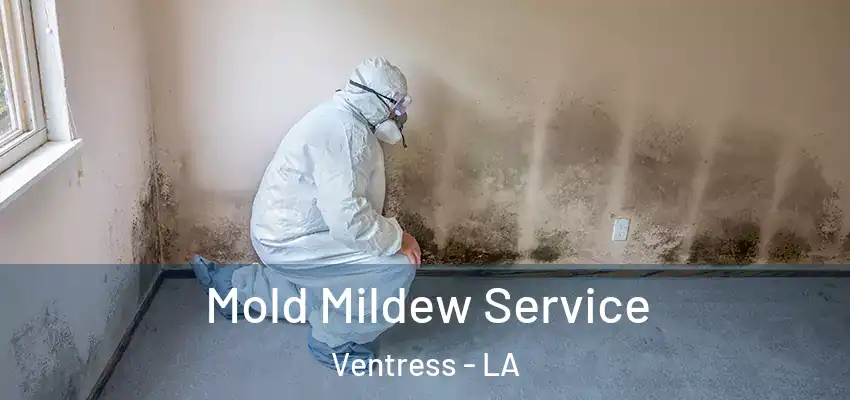 Mold Mildew Service Ventress - LA