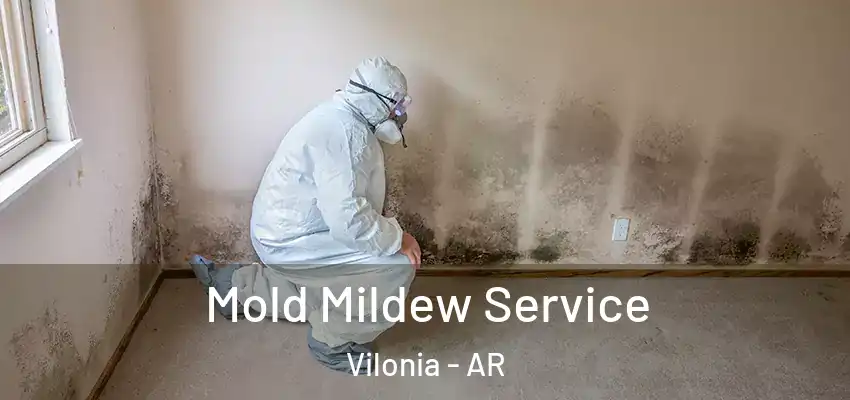  Mold Mildew Service Vilonia - AR