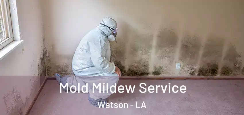  Mold Mildew Service Watson - LA