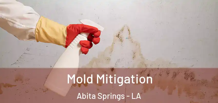  Mold Mitigation Abita Springs - LA