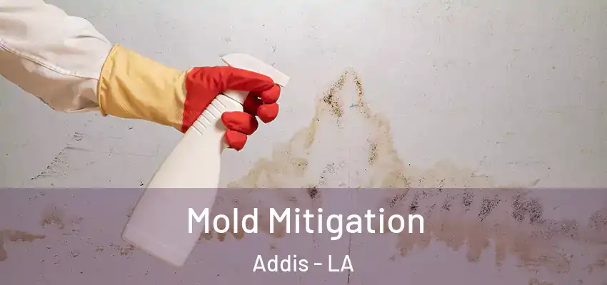  Mold Mitigation Addis - LA