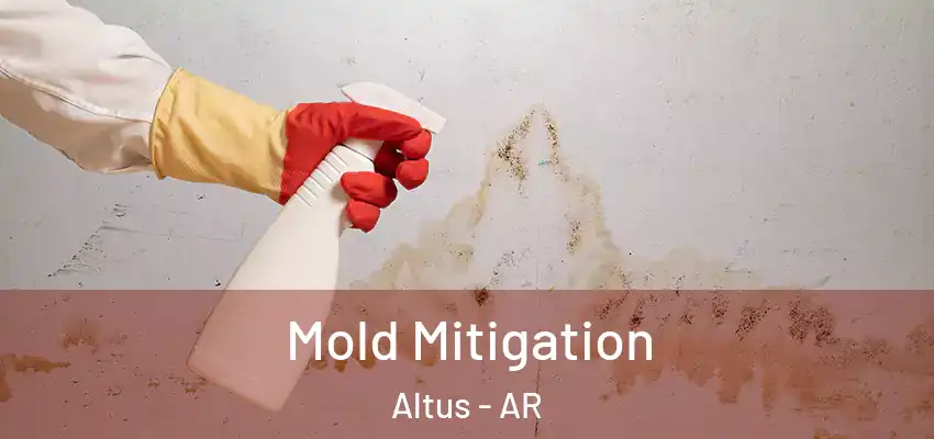  Mold Mitigation Altus - AR