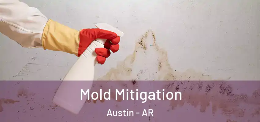  Mold Mitigation Austin - AR