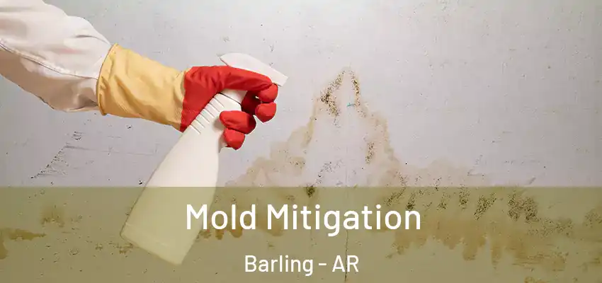  Mold Mitigation Barling - AR