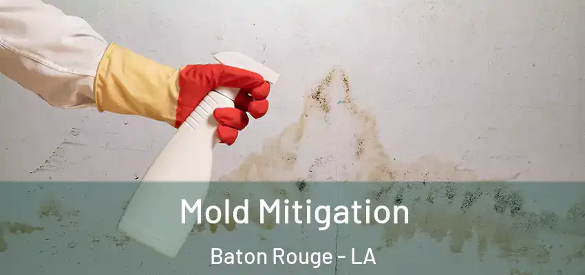 Mold Mitigation Baton Rouge - LA
