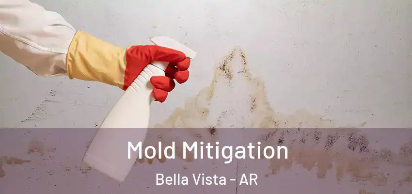 Mold Mitigation Bella Vista - AR