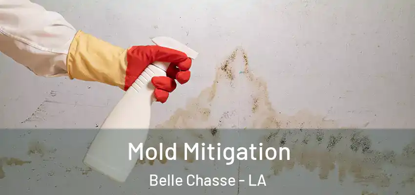 Mold Mitigation Belle Chasse - LA