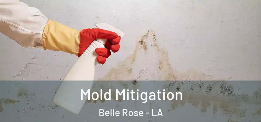 Mold Mitigation Belle Rose - LA