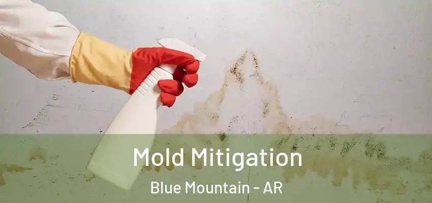  Mold Mitigation Blue Mountain - AR