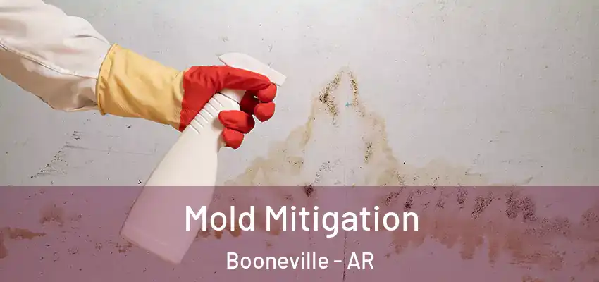 Mold Mitigation Booneville - AR