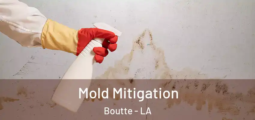  Mold Mitigation Boutte - LA