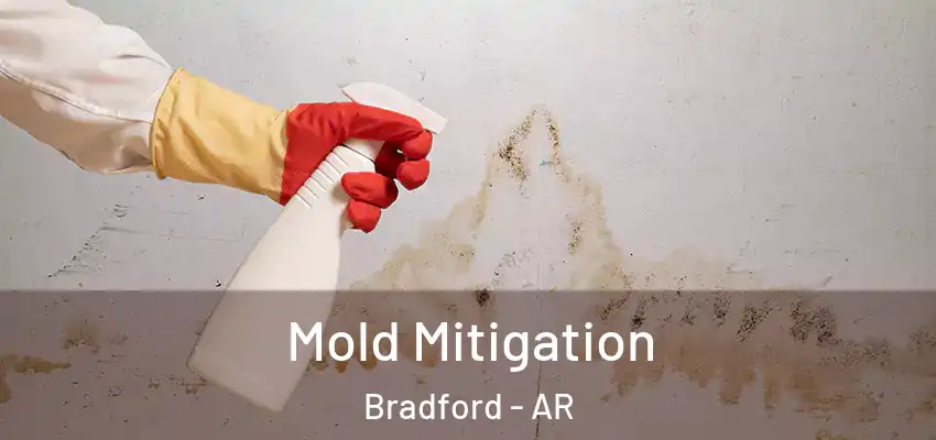  Mold Mitigation Bradford - AR