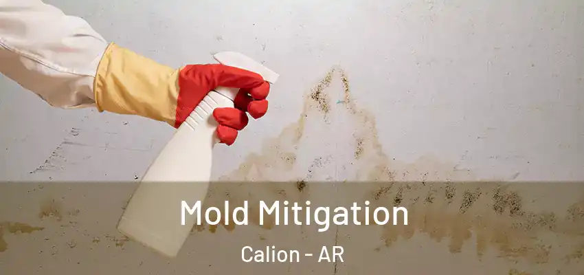  Mold Mitigation Calion - AR