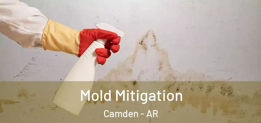  Mold Mitigation Camden - AR