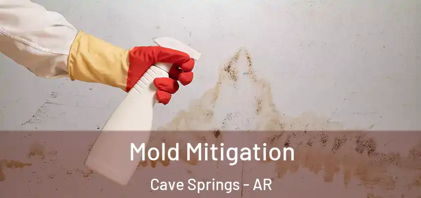 Mold Mitigation Cave Springs - AR
