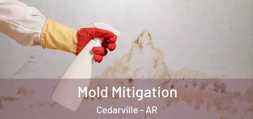 Mold Mitigation Cedarville - AR