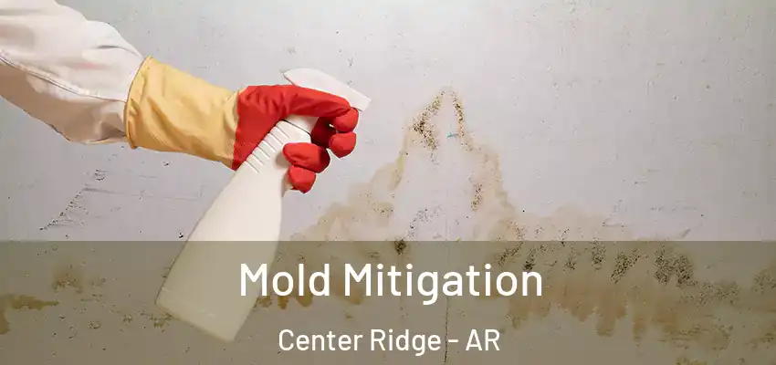 Mold Mitigation Center Ridge - AR