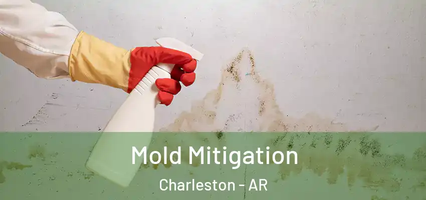  Mold Mitigation Charleston - AR