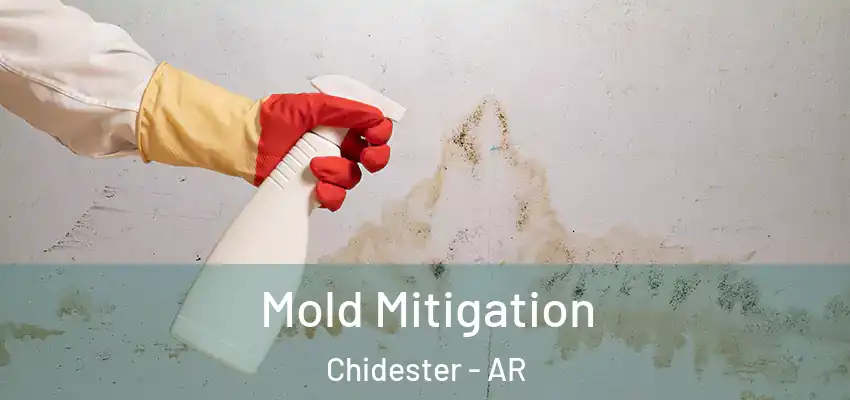  Mold Mitigation Chidester - AR