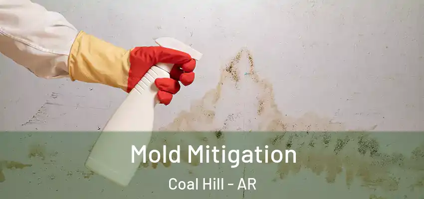  Mold Mitigation Coal Hill - AR