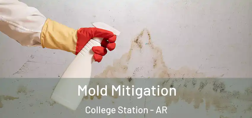  Mold Mitigation College Station - AR