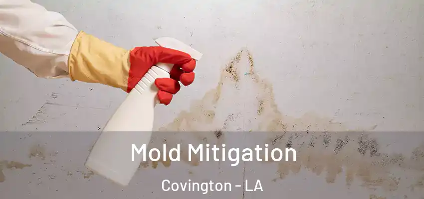  Mold Mitigation Covington - LA