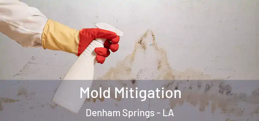  Mold Mitigation Denham Springs - LA